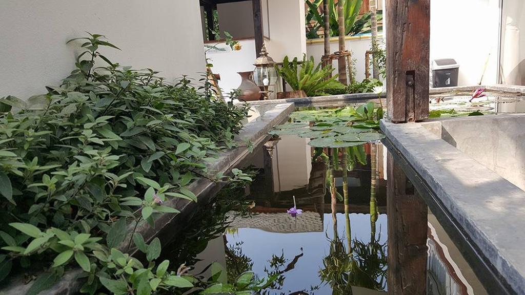 The Home Chiangmai Luxury Guesthouse Chiang Mai Eksteriør bilde