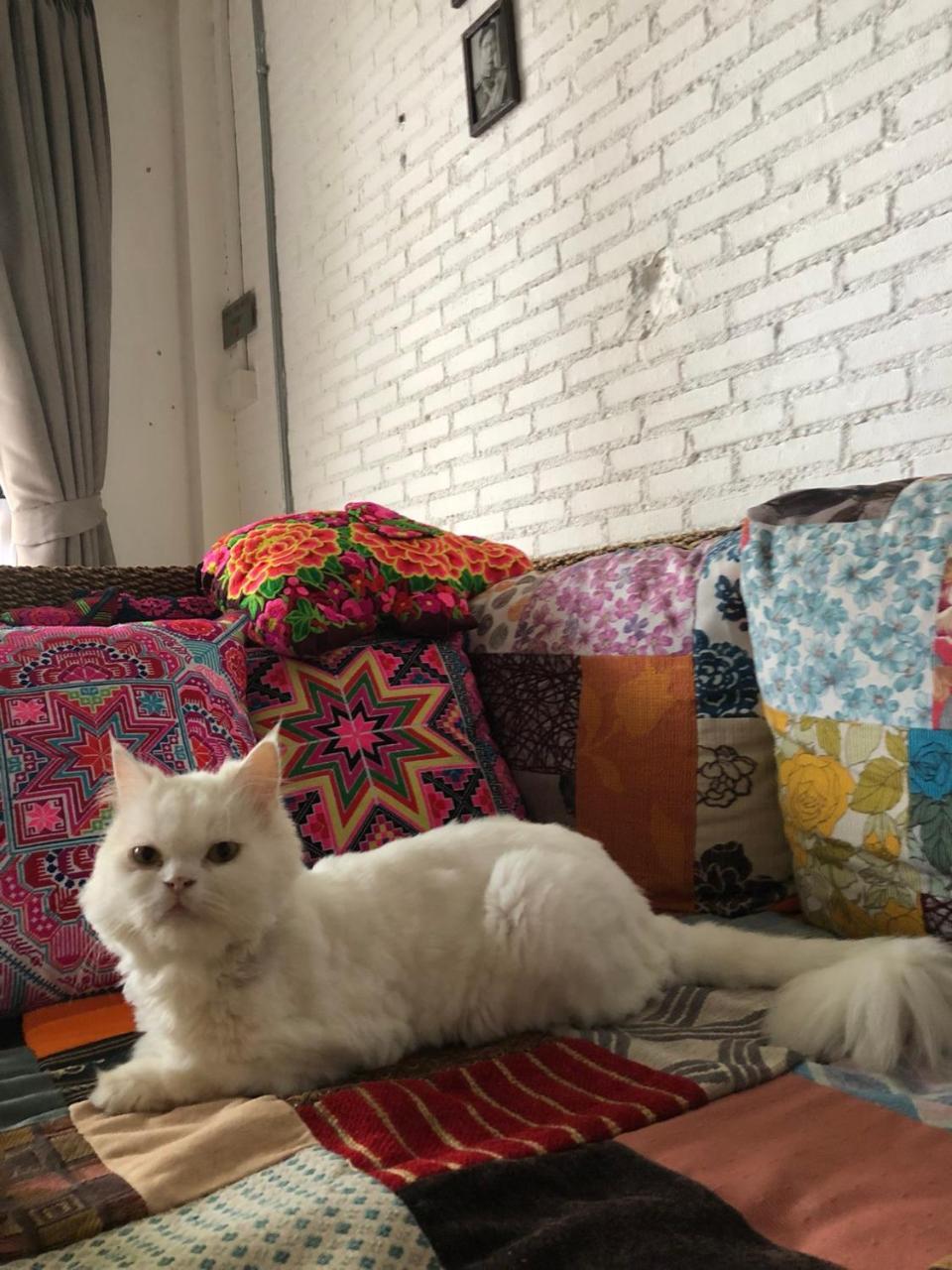 The Home Chiangmai Luxury Guesthouse Chiang Mai Eksteriør bilde